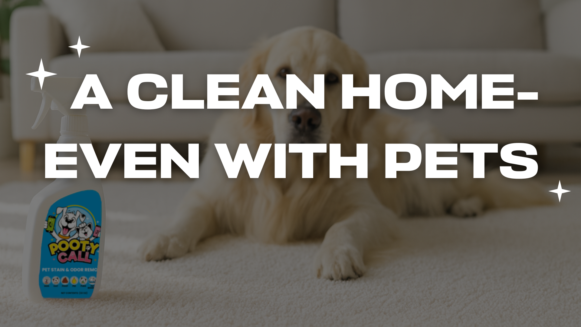 The Modern Pet Owner’s Guide to a Clean, Odor-Free Home